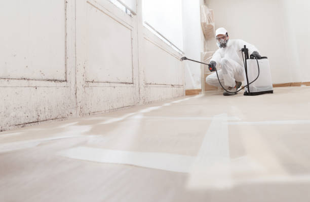 24/7 Emergency Bathroom Mold Removal experts in Lewisburg, TN